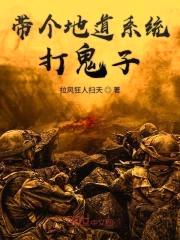 带个地道系统打鬼子封面