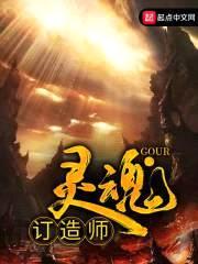 灵魂订造师封面