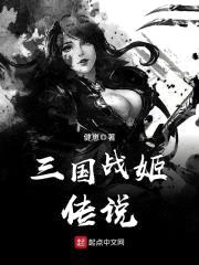 三国战姬传说封面