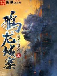 鸦龙城寨封面