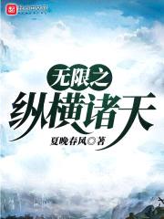 无限之纵横诸天封面