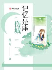 记忆是座伤城封面