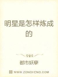 明星是怎样炼成的封面