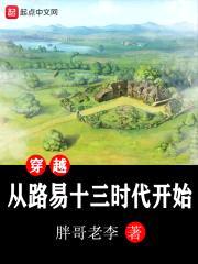 穿越从路易十三时代开始封面