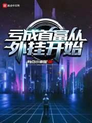外挂太多怎么办封面