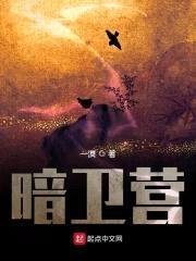 暗卫营封面