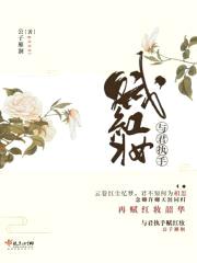 与君执手赋红妆封面