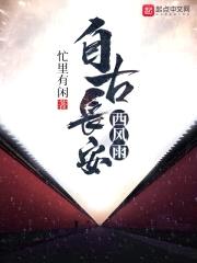 自古长安西风雨封面