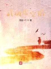 武破虚空后封面