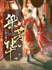 染芳华封面