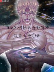 Dio不懒惰的奇妙冒险封面