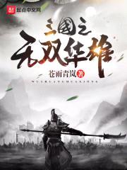 三国之无双华雄封面