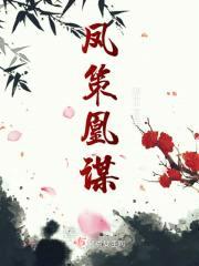 凤策凰谋封面