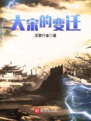 大宋的变迁封面