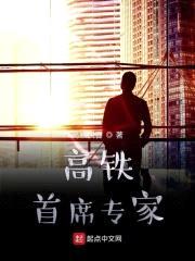 高铁首席专家封面