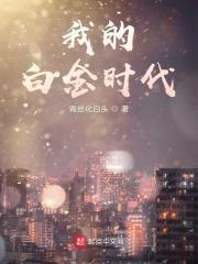 我的白金时代封面