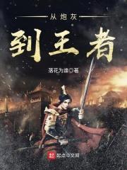 从炮灰到王者封面