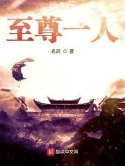 至尊一人封面