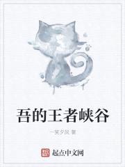 吾的王者峡谷封面