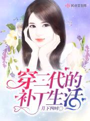 穿二代的补丁生活封面
