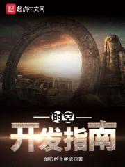 时空开发指南封面