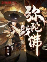 弥陀战佛封面