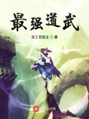最强道武封面