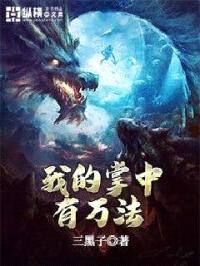 我的掌中有万法封面