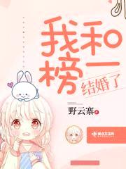 我和榜一结婚了封面