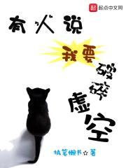 有人说我要破碎虚空封面