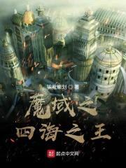 魔域之四海之王封面