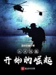 从火凤凰开始的崛起封面