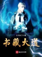 书藏大道封面
