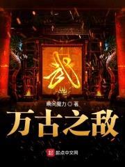 万古之敌封面