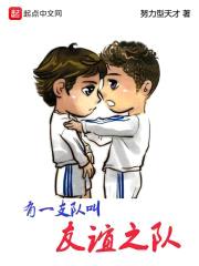 有一支队叫友谊之队封面