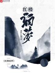 红楼窃梦封面