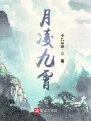 月凌九霄封面