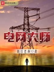 电网大师封面