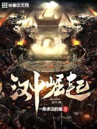 汉中崛起封面