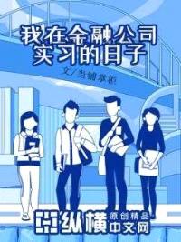 我在金融公司实习的日子封面