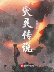 灾灵传说封面