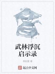 武林浮沉启示录封面