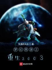 梦幻西游之重生2003封面