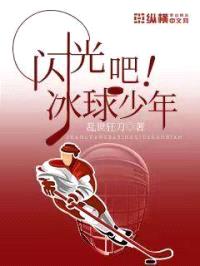 闪光吧，冰球少年封面