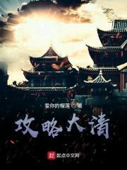 攻略大清封面