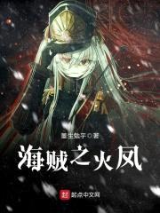 海贼之火凤封面