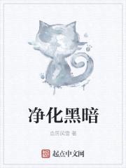 穿越之镜界物语封面