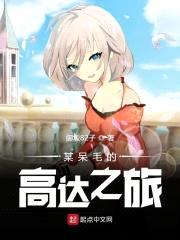 某呆毛的高达之旅封面