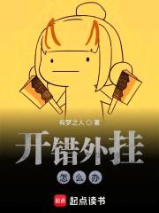 开错外挂怎么办封面