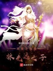 将夜之我是林光远之子封面